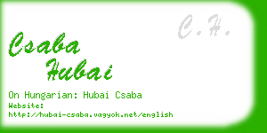 csaba hubai business card